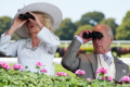 Maddest hats at the frightfully British Royal Ascot races