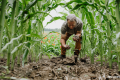 ‘If there’s no fertility, there are no farms’: Why big food is exploring regenerative agriculture