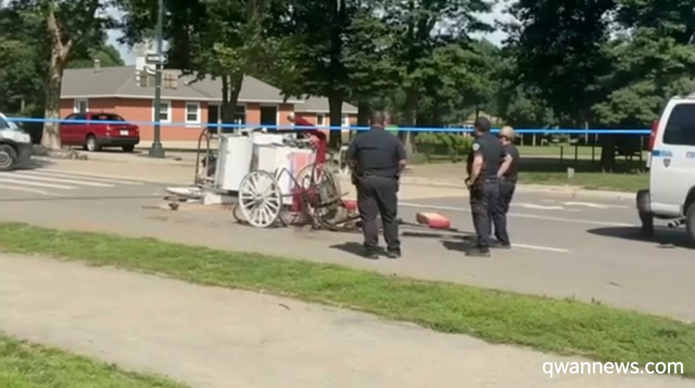 New York mayor, other leaders push to ban horse-drawn carriage rides after teen tourist’s death
