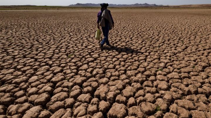 Morocco’s answer to drought is in the ocean. Could more of Africa follow its lead?