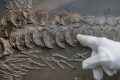 If another advanced civilization lived on Earth before us, would we know?