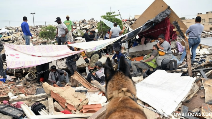 Four-legged heroes: international dog squad helps save lives after Venezuela earthquakes