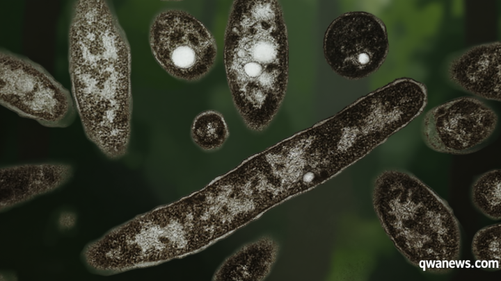 Dozens of New York cooling towers test positive for Legionnaires’ bacteria as outbreak reaches 60 cases