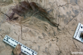 ‘A moment in time’: Fossil footprints shed new light on the extinct ‘Nutcracker Man’