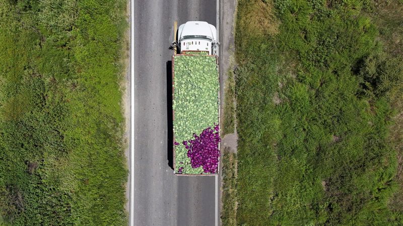 01-2026-07-25t024801z-2115337820-rc2fkmaawj19-rtrmadp-3-health-usa-cyclosporiasis