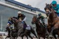 What college football and horse racing have in common: Greed wrecking a good thing