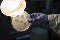 AI creates 16 new viruses from scratch, showing promise for drug resistance and drawing warnings about potential for misuse