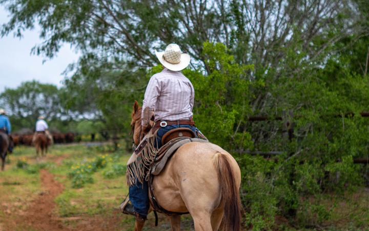 horseriding
